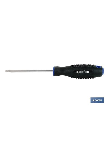 Destornillador Cr-Molibdeno Spanner 10x100