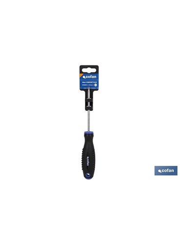 Destornillador Cr-Molibdeno Spanner 10x100