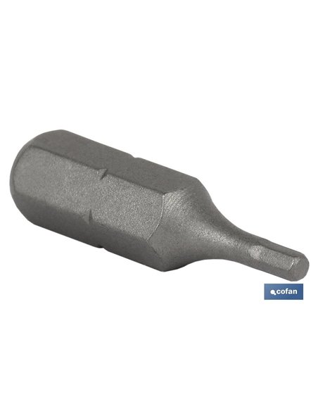 Punta De Destornillador Hexagonal Estándar 2,5 50 Mm