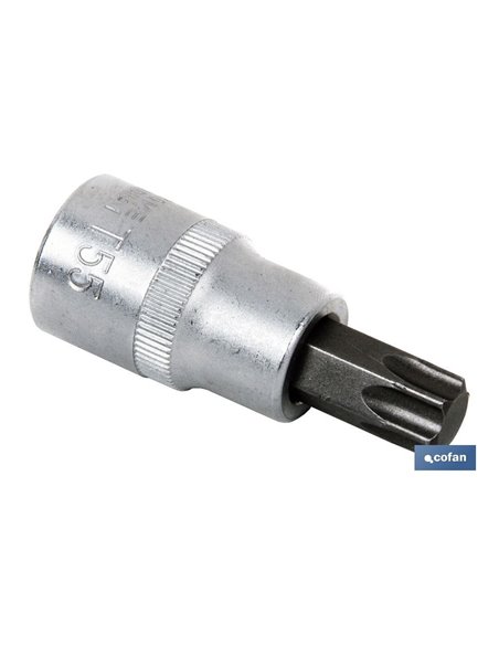Llave De Vaso 1/4 Con Punta T-10