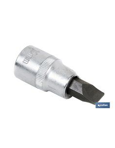 Vaso 1/2 Punta Corta Sl-8