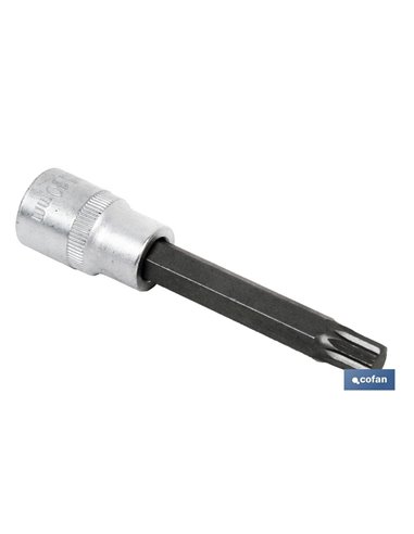 Vidro 1/2 Ponta Longa T-50