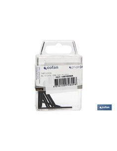 Blister de 2 unid. Din-1481 M-6x60 2