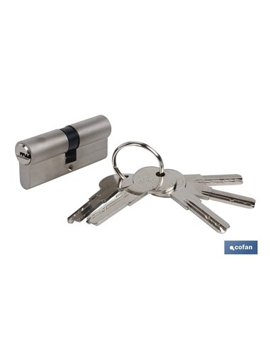 Cilindro de Segurança de Níquel 40/40 - Came Longo Combinado Aaa