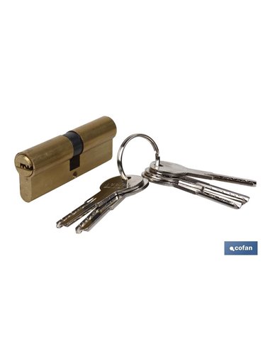 Cilindro de segurança de dupla embreagem 40/40 L. Long-Latão