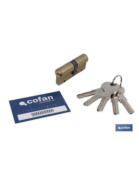 Cilindro Seguridad Antibumping 35/35 L. Larga-Níquel