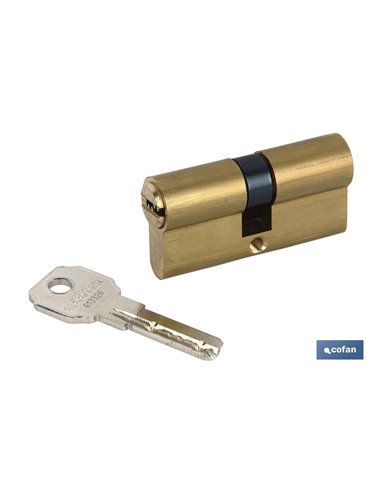Cilindro De Seguridad De Latón Para Llave Normal 30/30 - Leva Larga Igualados Aaa