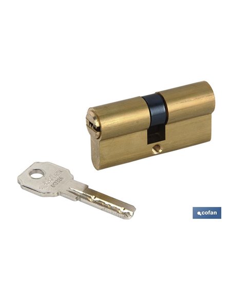 Cilindro De Seguridad De Latón Para Llave Normal 35/35 -Leva Larga Igualados Aaa