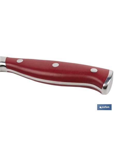Lâmina de Faca para Pão 21cm Vermelho Modelo Aguacejo