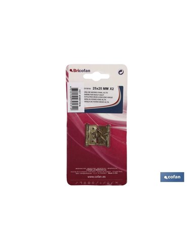 2 Uds. Bisagra De Hierro Latonado Fin Alto 25x25