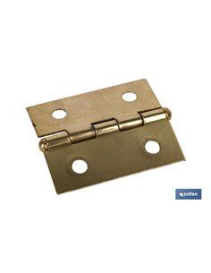 2 Uds. Bisagra De Hierro Latonado 35x30