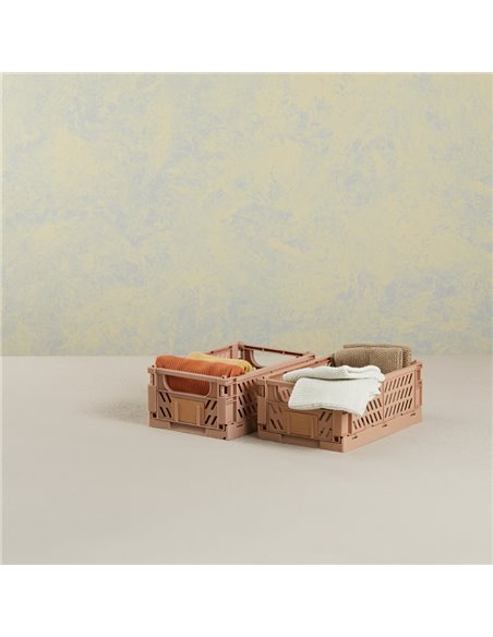 Caja almacenaje plegable 25x16.5x10cm set 2 piezas