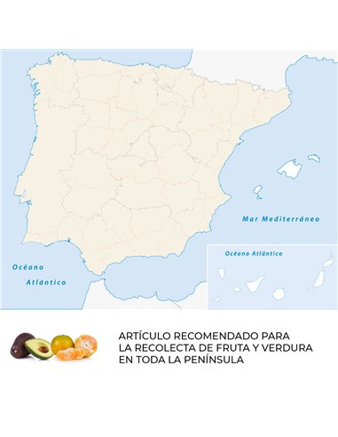Tijera para la cosecha de fruta y verdura TICO-M100 Manzana Nules