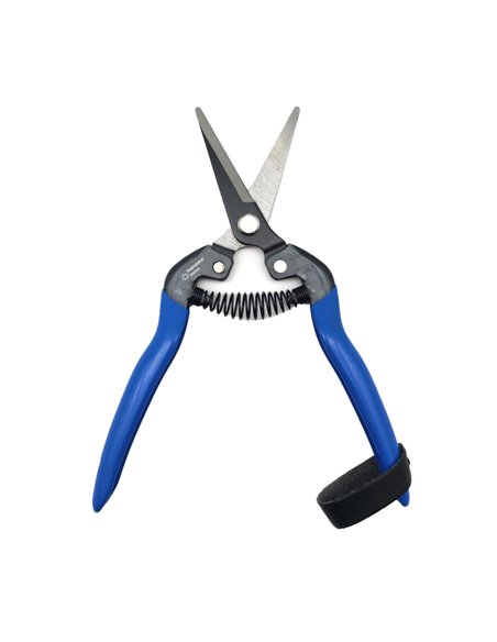 Tijera para la cosecha de fruta y verdura TICO-M110C Manzana Nules