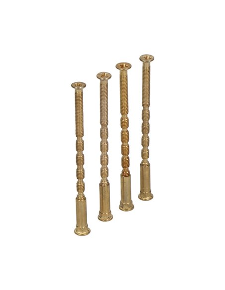 Blister tornillo pasante multicorte TRN02 M4x75mm LTD EDM