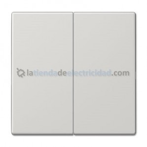 Tecla doble para interruptor o pulsador GRIS CLARO JUNG LS 995 LG