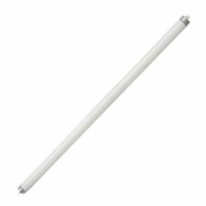 Tubo fluorescente T8