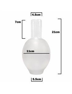 Abajur BOTERO em vidro quinqué fosco 21x11cm com abertura de 5,5cm 2