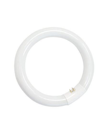 Tubo fluorescente circular T9