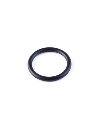 O-ring ártico largo an-19 (100 unidades)