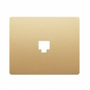 Tapa toma TELF o RJ45 DORADO ODISEA BJC IRIS 19782-OD