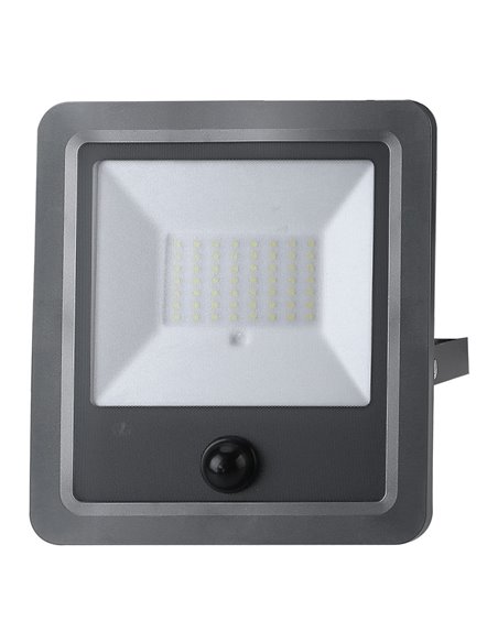 Foco proyector solar con sensor 100w 1.200lm 6.500k edm