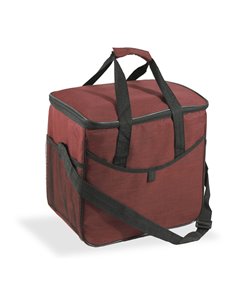 Nevera diseño tejana con asa 21l. hidalgo 2