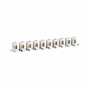 Regleta de paso separable 10 bornas 2x6mm LEGRAND 34000