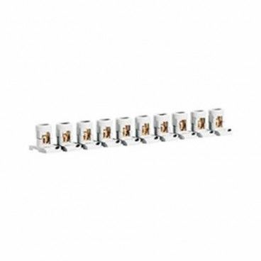 Regleta de paso separable 10 bornas 2x6mm LEGRAND 34000
