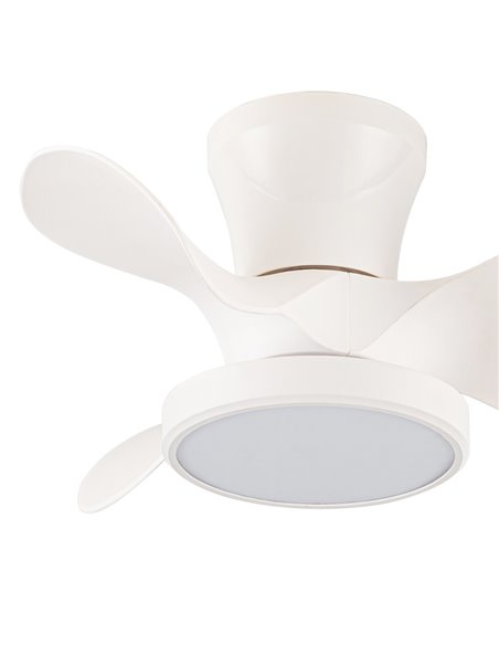 Ventilador de techo LED Moll Blanco 20W 1900Lm CCT Dim