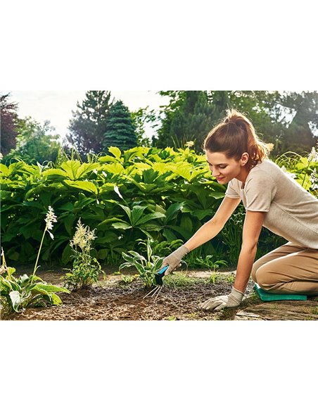 Cultivador de mano energo cellfast