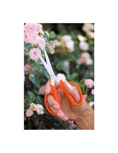 Tijera para florista 19,5. stocker