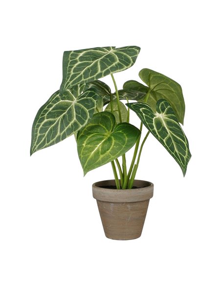Planta artificial caladium "oreja de elefante" verde con maceta ø21x28cm