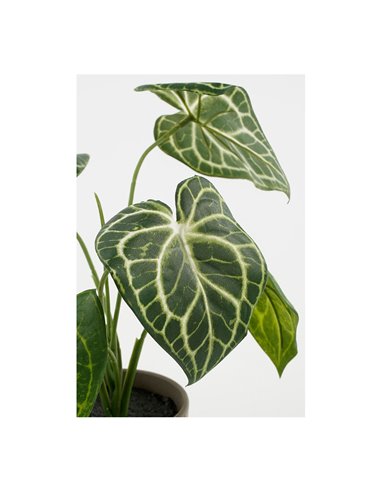 Planta artificial caladium "oreja de elefante" verde con maceta ø21x28cm