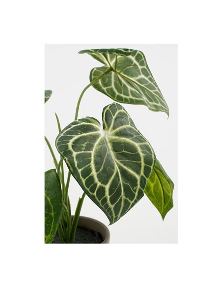 Planta artificial caladium "oreja de elefante" verde con maceta ø21x28cm