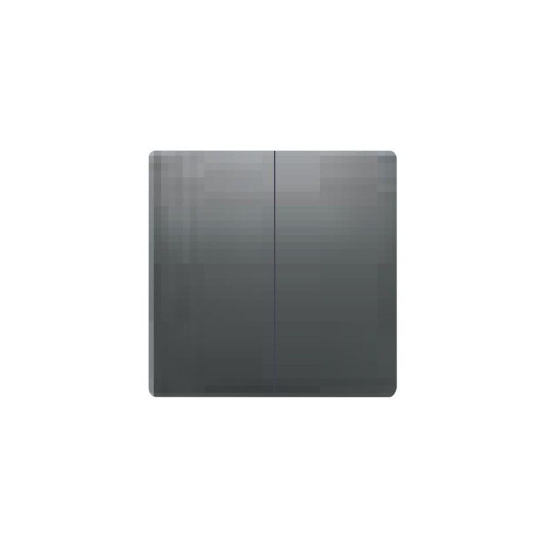 Chave de interruptor duplo antracite cosso Siemens Delta Style5TG72701AC00