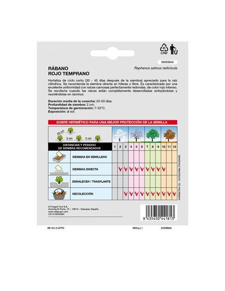 Semillas Rabano Rojo Temprano (8 gramos) Semillas Verduras, Horticultura, Horticola, Semillas Huerto.