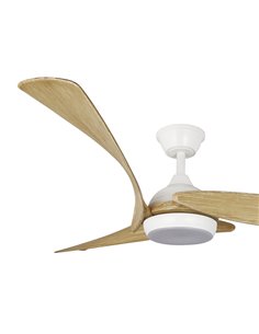 Ventilador de techo LED Enna Blanco 24W 2400Lm CCT Dim 2