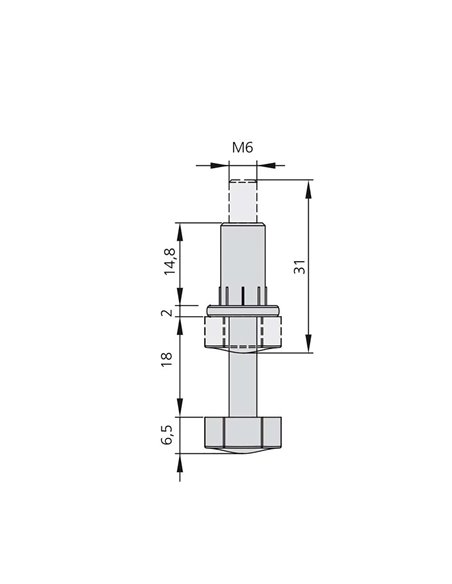 Emuca Lote de 20 pies niveladores para mueble, base hexagonal, M6, regulación 18mm, Acero y plástico