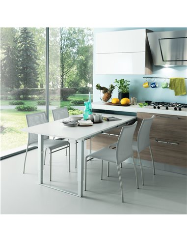 Emuca Guías para mesa extensible Party, Aluminio, Anodizado inox