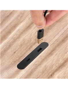 Emuca Conector USB A y C para cargar Linky, 81x12mm, para encastrar o superficie, Plástico, Negro 2