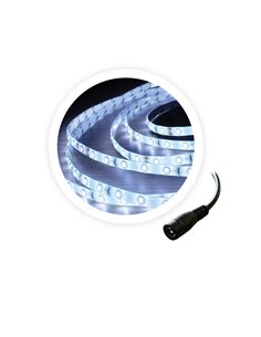 Rotolo 5M Striscia LED 6W/M 6000-6500K 24V