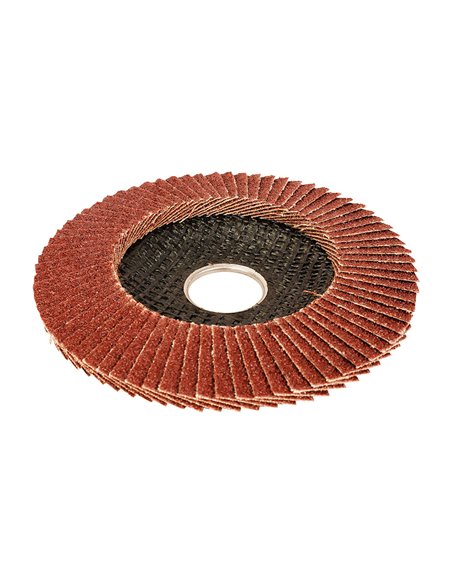 Disco láminas convexo Ø115x22,2mm 40g WORKPRO