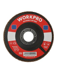 Disco láminas plano Ø100x16mm 60g WORKPRO 2