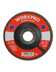 Disco láminas convexo Ø115x22,2mm 40g WORKPRO 2