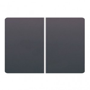 Tecla doble pulsador GRIS LAVA BJC Coral 21709-GL