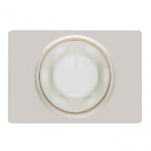 Tapa regulador de intensidad luminosa PLATA LUNA BJC Coral 21749-PL