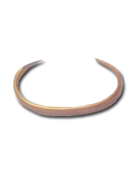 CAJA  ARETES PLANOS PARA CERDOS 1-1/4 (144 UND) 27503