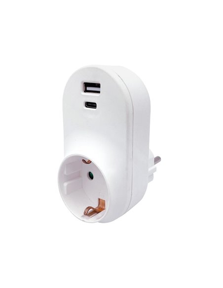 Adapter with USB and Type C