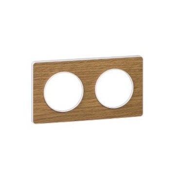 Quadro 2 elementos natureza Odace Touch SCHNEIDER S520804N